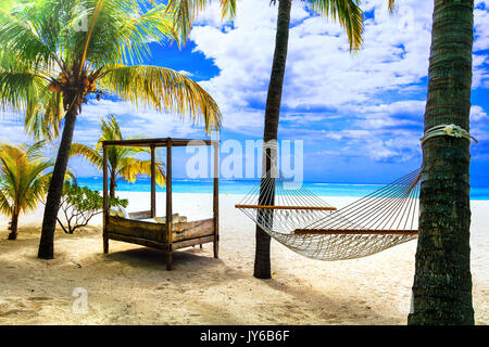 Tropische erholsame Ferien. Liegen unter Palmen. Mauritius Stockfoto