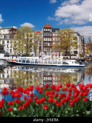 Amsterdam City mit Boote auf dem Kanal gegen rote Tulpen in Holland Stockfoto