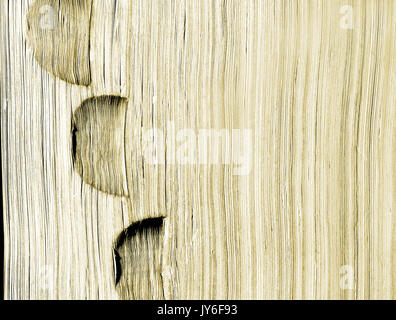 Ein "erraten, was es ist 'Nahaufnahme Foto von einem Wörterbuch mit den Daumen index. Siehe: weitere Informationen Stockfoto