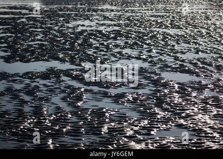 Frankreich, Région des Hauts de France, Picardie, Baie de Somme, Quend plage Foto Gilles Targat Stockfoto