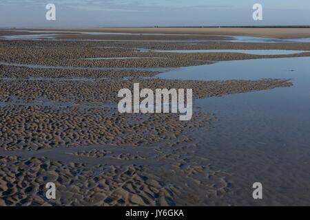 Frankreich, Région des Hauts de France, Picardie, Baie de Somme, Quend plage, Foto Gilles Targat Stockfoto