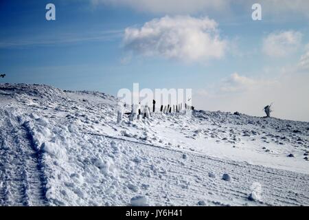 Krähe auf hölzerne Stange auf der schneebedeckten Berg, Kopaonik, Serbien Stockfoto