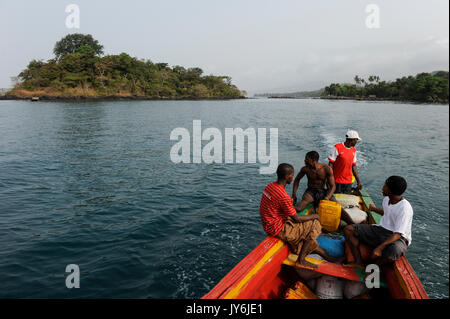 SIERRA LEONE, Bootsfahrt entlang der Küste des Atlantischen Ozeans von River Nr. 2 Tombo, Banana Island, geschützter Wald und Natur der westlichen Halbinsel Stockfoto