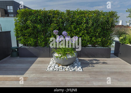 Luxuriöse Dachterrasse in London mit Schnittholz Terassendielen, zeitgenössische Pflanzmaschinen mit üppiger Bepflanzung und moderne Gartenmöbel Stockfoto