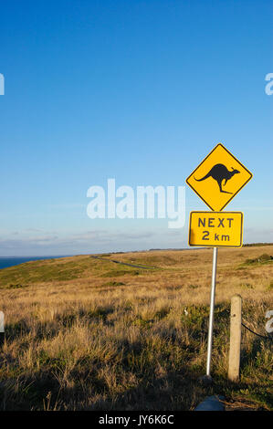 Ein straßenschild in Australien warnt vor möglichen Kängurus in der Straße Stockfoto