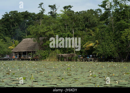 Typische Tropical Village in Rio Dulce Bezirk in Guatemala, in der Weise zu Livingston Stockfoto