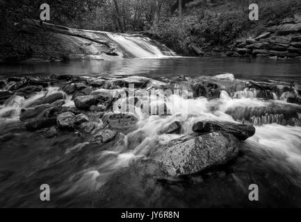 Wildcat Creek liegt in Rabun County im Norden Georgiens.  Es fließt in der Regel West nach Ost, mündet in Lake Burton entlang der westlichen Seite.  Es gibt einen gut entwickelter Campingplatz entlang Wildcat Creek Road, die den Zugang zu den Creek in diesem Bereich ist.  Es ist jährlich mit Regenbogenforellen bestückt und ist sehr beliebt bei Fischer. Stockfoto