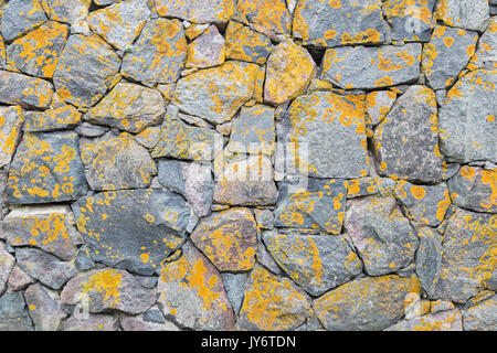 Alte Mauer in eine Festung aus Stein mit gelben Flechten. Stockfoto