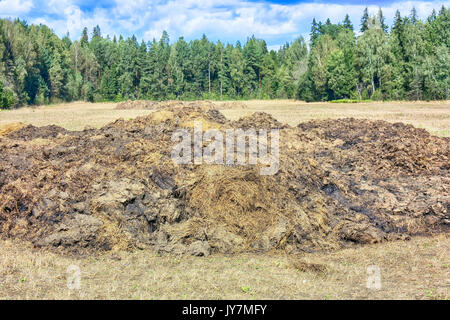 Dünger aus Kuhmist und Stroh. Haufen Gülle im Feld Frühjahr Felder zu düngen. Stockfoto