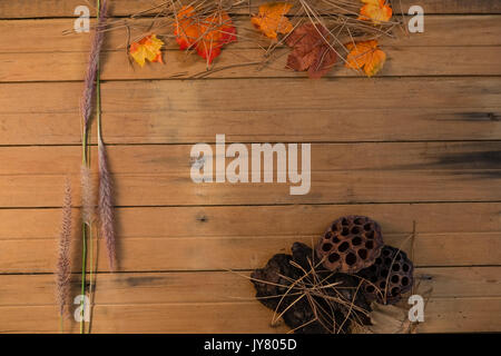 Ansicht von oben der Blätter im Herbst von Reed und Pflanze Hülsen auf hölzernen Tisch Stockfoto