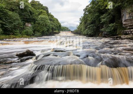 Aysgarth Falls, Lower Force Waterfall, River Ure Yorkshire Dales National Park Stockfoto