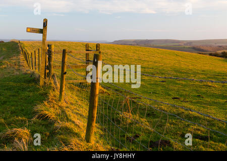 Ditchling Beacon, Sussex, UK. Öffentlichen Fußweg Zeichen der nach links zeigt. Stockfoto