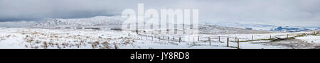 Panorama von Irlands Comeragh Mountains im Schnee, Schafe grasen fast unsichtbar in die weite, offene Szene unter stürmischen Himmel. Stockfoto