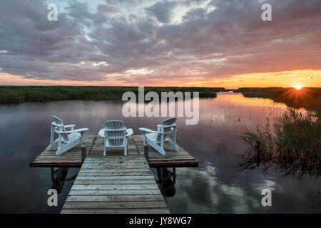 Wasserkocher, Lake Huron, Ontario, Kanada, Nordamerika Stockfoto