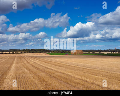 Ballen, Stoppel- und fernen Karotte Feld St. James Kirche Southrepps Norfolk UK Stockfoto