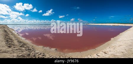 Salz Rosa Lagune in Las Coloradas, Yucatan, Mexiko Stockfoto