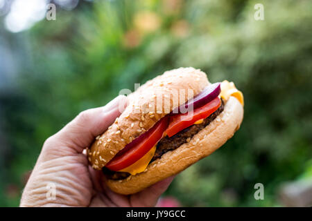 Ein Viertel Pfund Hamburger oder Beefburger in einem seame Brot Brötchen mit Salat Stockfoto