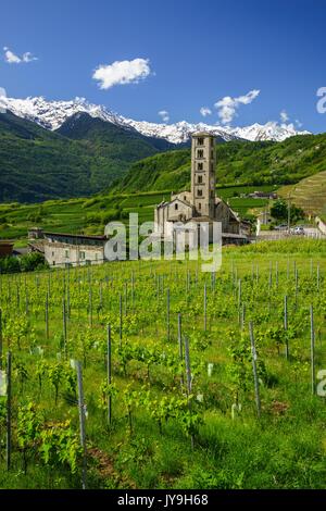 Blick auf die Kirche von San Siro in bianzone von grünen Terrassen. Provinz Sondrio. valtellina Lombardei, Italien, Europa Stockfoto