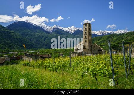 Blick auf die Kirche von San Siro in bianzone von grünen Weinbergen, der Provinz Sondrio. valtellina Lombardei, Italien, Europa Stockfoto