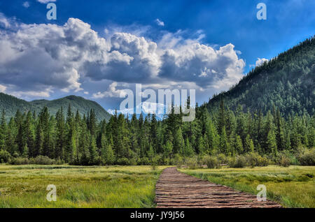 Sommer Bergwelt mit schneebedeckten Gipfel, Altai, Russland. Holzsteg durch das bergige sumpfige Tal Stockfoto