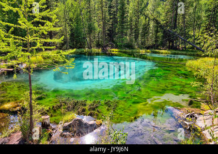 Amazing blue Geysir See in den Bergen des Altai, Russland. Einzigartige türkisfarbenen See mit kristallklarem Wasser und oval kreisenden Scheidungen, die alle t Stockfoto