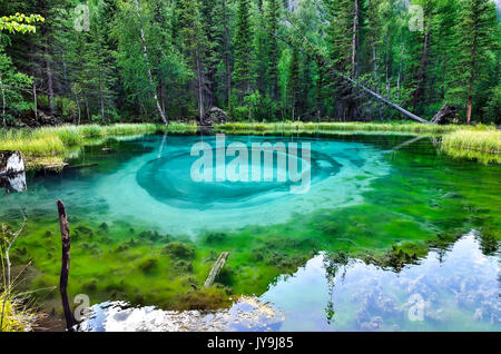 Amazing blue Geysir See in den Bergen des Altai, Russland. Einzigartige türkisfarbenen See mit kristallklarem Wasser und oval kreisenden Scheidungen, die alle t Stockfoto