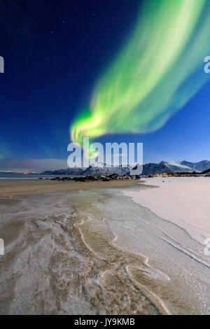 Die aurora borealis Leuchtet der Himmel und der Strand des kalten Meer von Gymsøyand. Lofoten in Nordnorwegen Europa Stockfoto