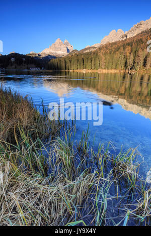 Die Drei Zinnen von Lavaredo und Wälder sind im See des Cadore Auronzo Misurina Venetien Italien Europa Stockfoto