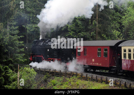 997243-1und Zug klettern zwischen Wernigerode und Drei Annen Hohne. Harzer Schmalspurbahnen. Stockfoto