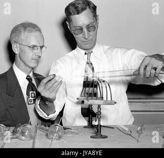 Das amerikanische Fernsehen host Lynn Poole am Set für'-Segment der Master Glas Gebläse' des Johns Hopkins Science Review TV-Show, mit Gast und Vollzeit master Glasbläser an der Johns Hopkins University John Lehman, 1951. Stockfoto