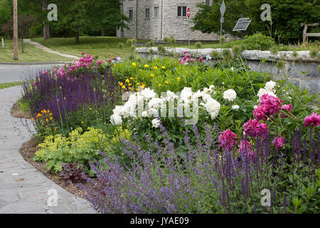 Williamstown, Massachusetts flower garden in einen Kreisverkehr, der williamstown Garden Club gepflegt. Stockfoto