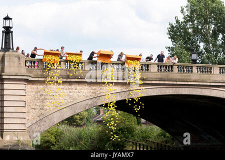 1000 gelben Kunststoff Enten sind in den Fluss Mersey von Kingsway Brücke für die 2017 Latchford Duck Race Stockfoto