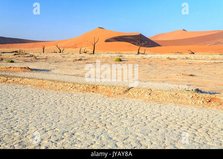 Ausgetrockneten Boden und tot Akazie, umgeben von Sanddünen Deadvlei Sossusvlei Wüste Namib Naukluft Nationalpark Namibia Afrika Stockfoto