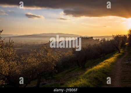 Eine Ansicht von Spello in Umbrien bei Sonnenuntergang. Querformat. Stockfoto