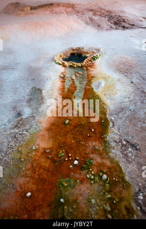 Ungewöhnliche Farben Dampf austritt aus einer fumarole auf El Tatio gayser. Die verschiedenen Farben sind durch Bakterien thermophile Mikroorganismen verursacht. Chile. Ataca Stockfoto