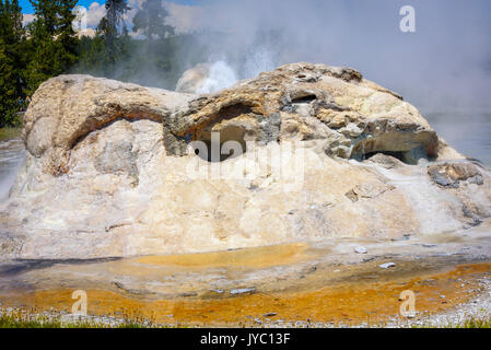 Nahaufnahme des Grotto Geyser in Upper Geyser Basin. Yellowstone National Park Stockfoto