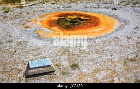 Wirtschaftliche Geysir in Upper Geyser Basin, Yellowstone National Park Stockfoto