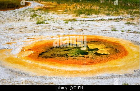 Wirtschaftliche Geysir in Upper Geyser Basin, Yellowstone National Park, USA Stockfoto