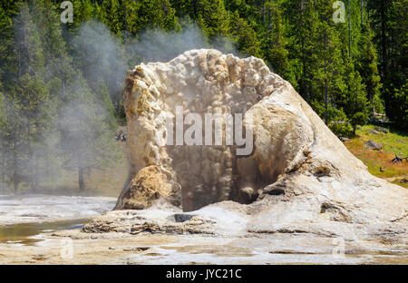 Nahaufnahme von Giant Geysir in Upper Geyser Basin, Yellowstone National Park Stockfoto