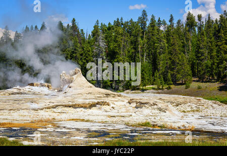 Landschaft von Giant Geysir in Upper Geyser Basin, Yellowstone National Park Stockfoto