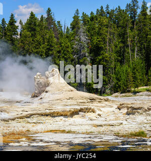 Landschaft von Giant Geysir in Upper Geyser Basin, Yellowstone National Park, USA Stockfoto