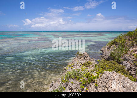 Die türkisen Farbtönen der Karibik von den Klippen von Grüne Insel Antigua und Barbuda Leeward Island West Indies gesehen Stockfoto