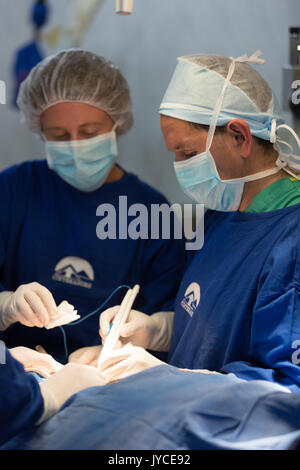 Liebe Chirurgie in kleinen Städten Ecuadors durchgeführt durch CinterAndes am 27. Mai 2014 Stockfoto
