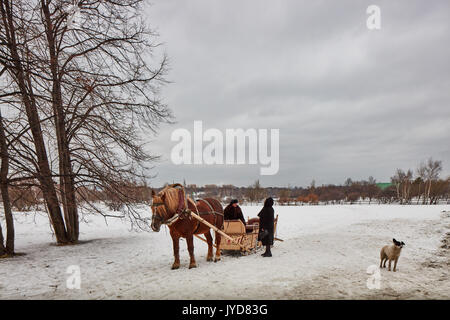 Moskau - 10.04.2017: ein Mann in einem Wagen mit orangefarbenen Pferd, Moskau, park Kolomenskiy. Stockfoto