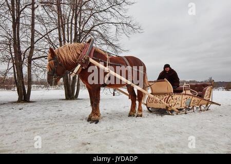 Moskau - 10.04.2017: ein Mann in einem Wagen mit orangefarbenen Pferd, Moskau, park Kolomenskiy. Stockfoto