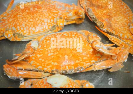 Küche und Essen, gedämpft Blue Crab. Einer der Berühmtesten Meeresfrüchte der Welt. Stockfoto