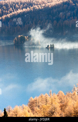 Nebel über der blauen See Sils und die bunten Wälder von Herbst Maloja Kanton Graubünden Engadin Schweiz Europa Stockfoto