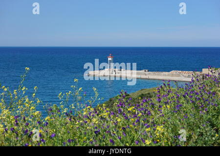 Steg mit einem Leuchtturm und Blumen im Vordergrund, Collioure, Vermilion Küste, Mittelmeer, Roussillon, Pyrénées-orientales, Frankreich Stockfoto