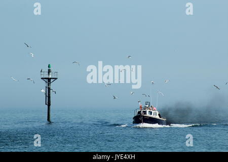 Fischerboot, die an der Küste von Möwen Stockfoto