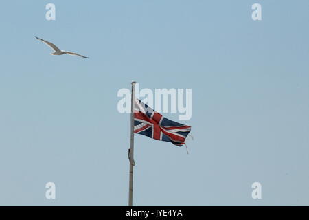 Möwe fliegen über union flag Stockfoto